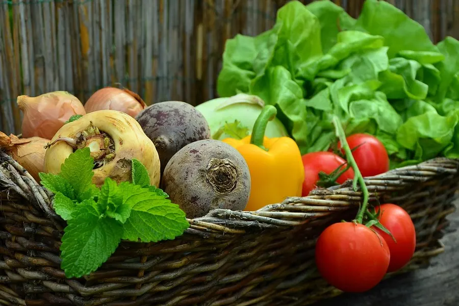 Verduras de noviembre: sabores intensos y recetas de temporada- Noticia 135