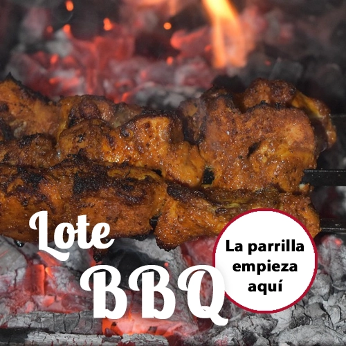 Lote Barbacoa - Foto 1