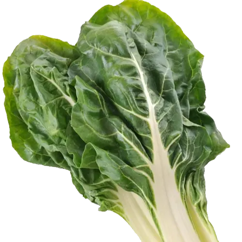 Acelgas - Delicies l'Avinguda-Terrassa - 2 Foto