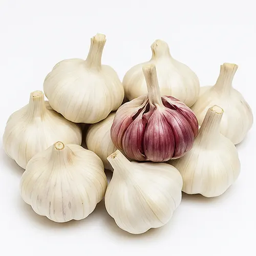 86-Ajos rojos de Albacete-Carnicería Delicies l'Avinguda Terrassa