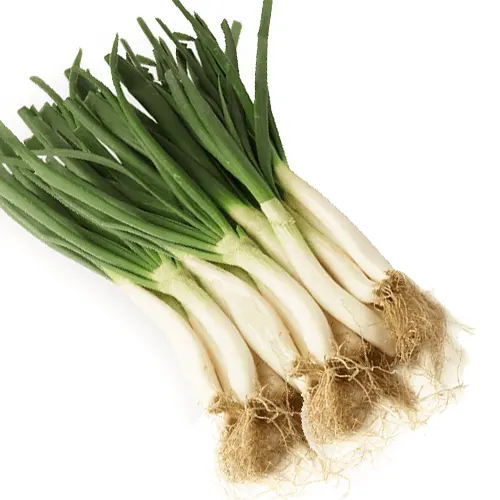 367-Calçots-Carnicería Delicies l'Avinguda Terrassa