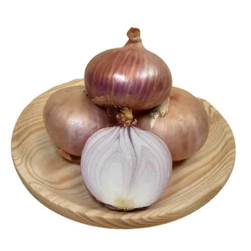 Relacionado - Cebolla de Figueres