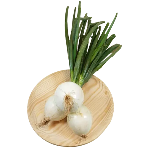 Relacionado - Cebolleta tierna