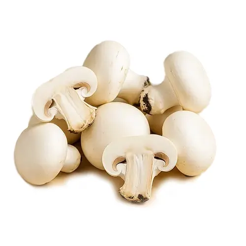 171-Champiñones-Carnicería Delicies l'Avinguda Terrassa