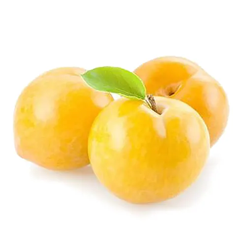 Ciruela Blanca - Foto 1