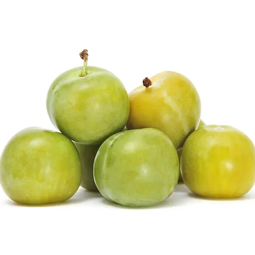 Ciruela Blanca - Foto 2