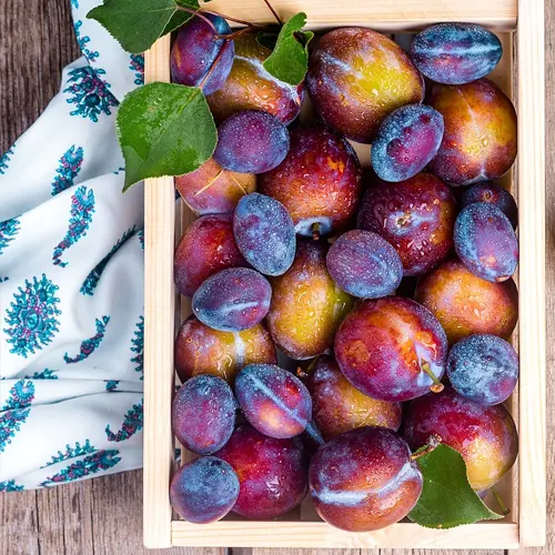 Ciruela negra - Delicies l'Avinguda-Terrassa - 2 Foto