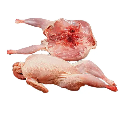 Codorniz - Delicies l'Avinguda-Terrassa - 3 Foto