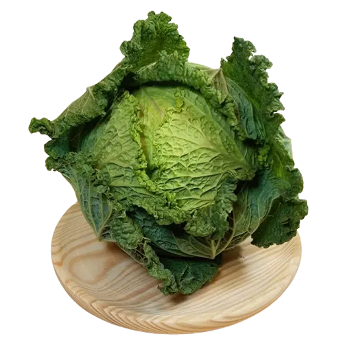 Col - Delicies l'Avinguda-Terrassa - 2 Foto