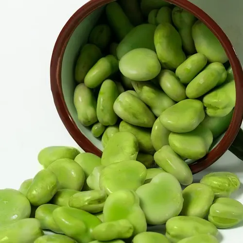 Habas del prat - Delicies l'Avinguda-Terrassa - 2 Foto