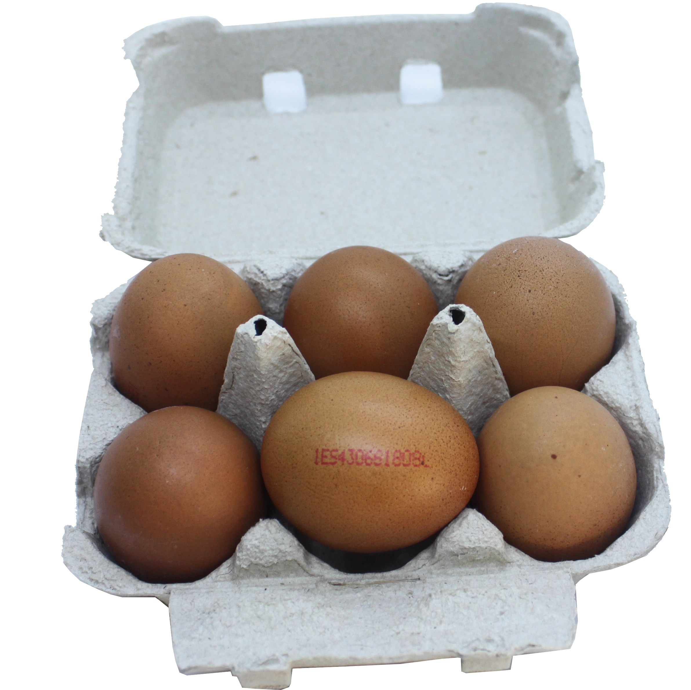 Lote  Huevos Camperos 1/2 media docena