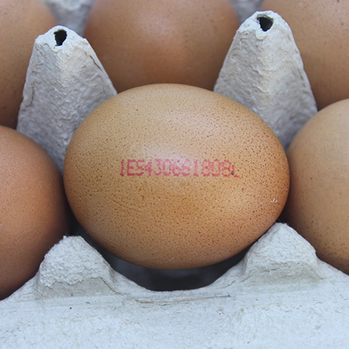 Huevos Camperos 1/2 media docena - Delicies l'Avinguda-Terrassa - 2 Foto