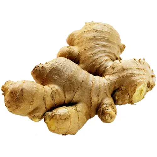 Jengibre - Delicies l'Avinguda-Terrassa - 2 Foto