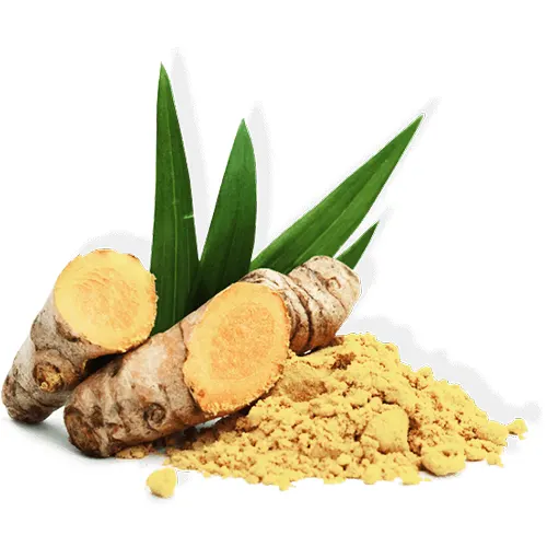 Jengibre - Delicies l'Avinguda-Terrassa - 3 Foto