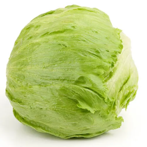 194-Lechuga iceberg-Carnicería Delicies l'Avinguda Terrassa