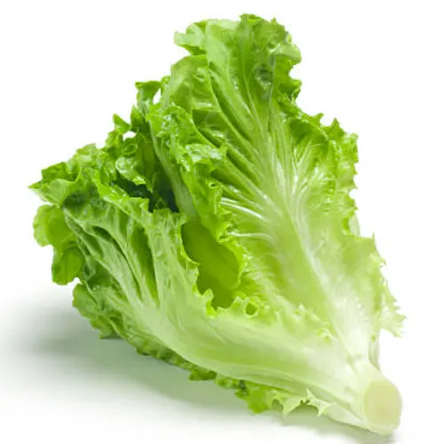 Lechuga - Delicies l'Avinguda-Terrassa - 2 Foto