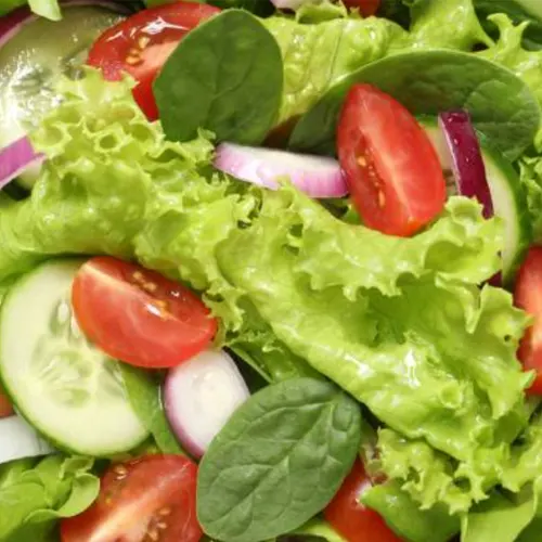 Lechuga - Delicies l'Avinguda-Terrassa - 3 Foto