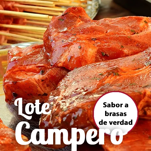 Lote Campero - Foto 1