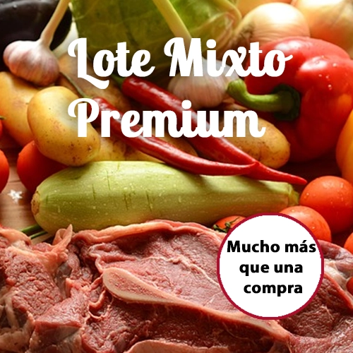 Lote Mixto Premium - Foto 1