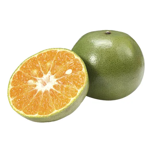 Mandarina - Foto 3