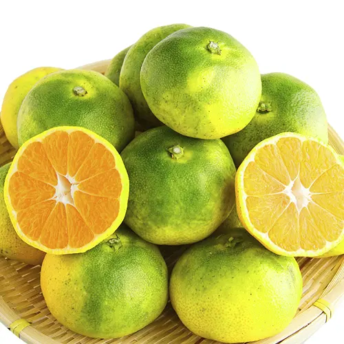 Mandarina