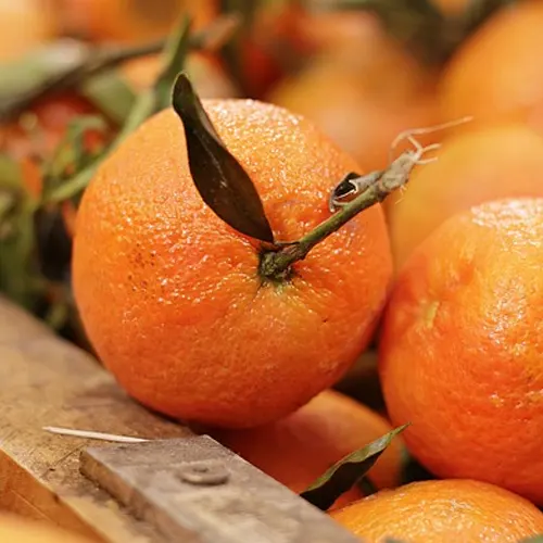 Naranja sevillana - Delicies l'Avinguda-Terrassa - 3 Foto