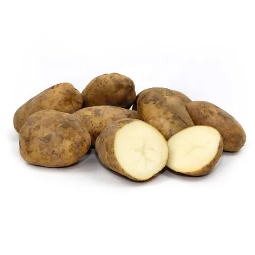 197-Patata Kennebec-Carnicería Delicies l'Avinguda Terrassa