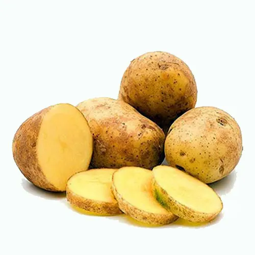 Patata Kennebec - Delicies l'Avinguda-Terrassa - 2 Foto