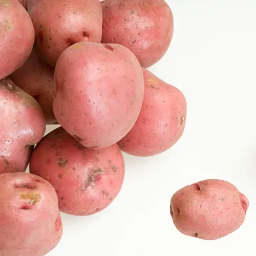 Patata roja - Delicies l'Avinguda-Terrassa - 2 Foto