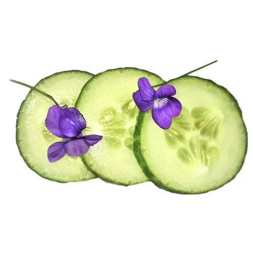 Pepino - Delicies l'Avinguda-Terrassa - 2 Foto