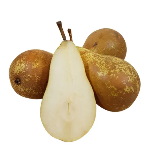 137-Pera Conference de la rioja-Carnicería Delicies l'Avinguda Terrassa