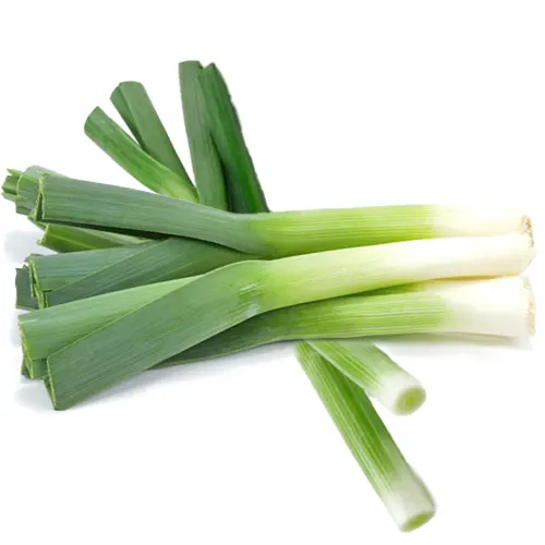 203-Puerros-Carnicería Delicies l'Avinguda Terrassa