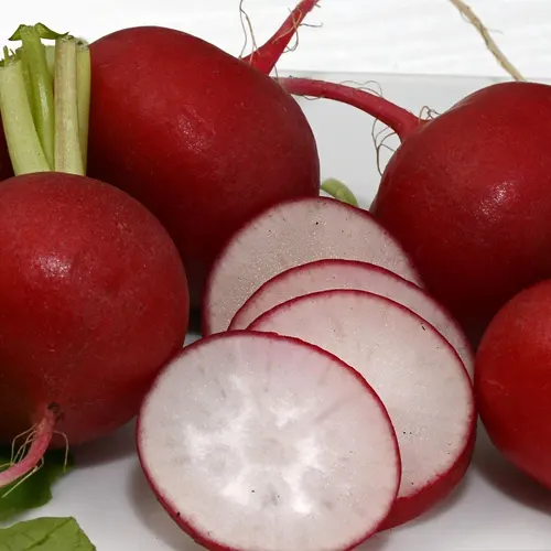 Rabano - Delicies l'Avinguda-Terrassa - 2 Foto