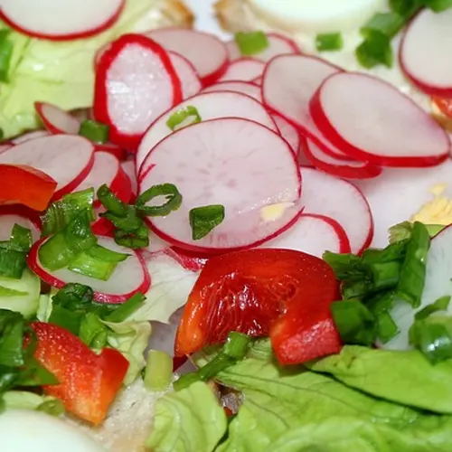 Rabano - Delicies l'Avinguda-Terrassa - 3 Foto