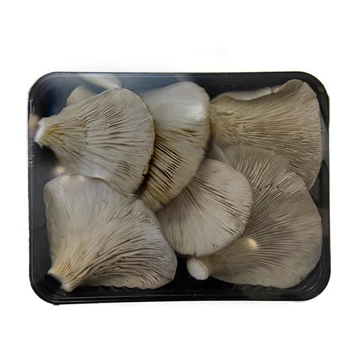 206-Gírgolas-Carnicería Delicies l'Avinguda Terrassa