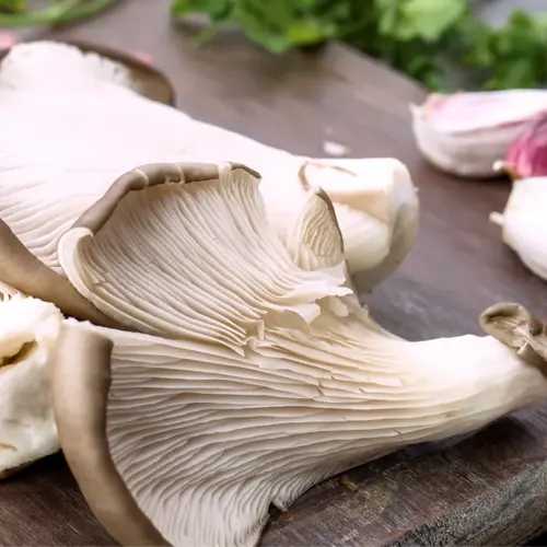 Gírgolas - Delicies l'Avinguda-Terrassa - 2 Foto