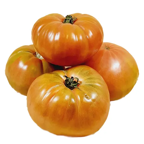 291-Tomate de Barbastro-Carnicería Delicies l'Avinguda Terrassa