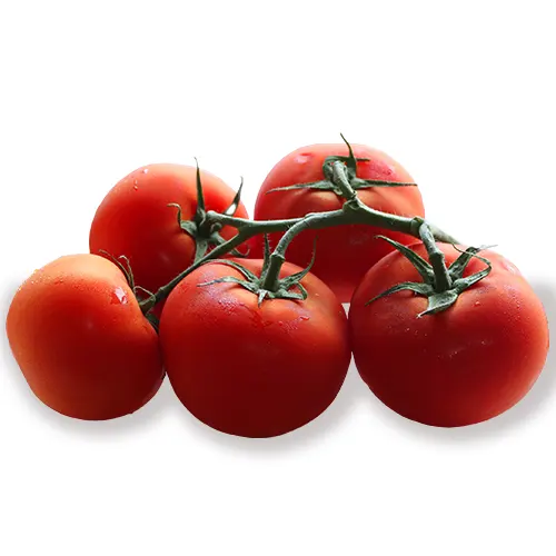 209-Tomate rama extra-Carnicería Delicies l'Avinguda Terrassa