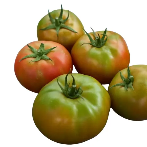 Tomate verde - Delicies l'Avinguda-Terrassa - 2 Foto