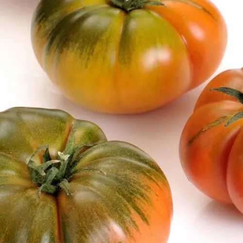 Tomate verde Raf - Delicies l'Avinguda-Terrassa - 2 Foto