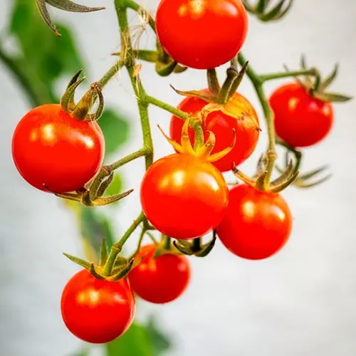 Tomate Cherry 1/2kg - Delicies l'Avinguda-Terrassa - 3 Foto