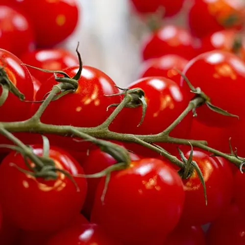 Tomate rama extra - Delicies l'Avinguda-Terrassa - 3 Foto