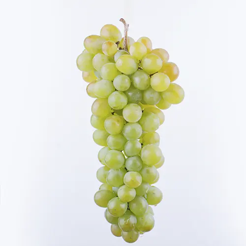 Uva blanca