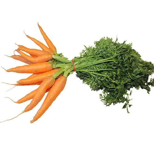 Zanahoria rama - Delicies l'Avinguda-Terrassa - 2 Foto