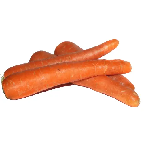 Relacionado - Zanahoria